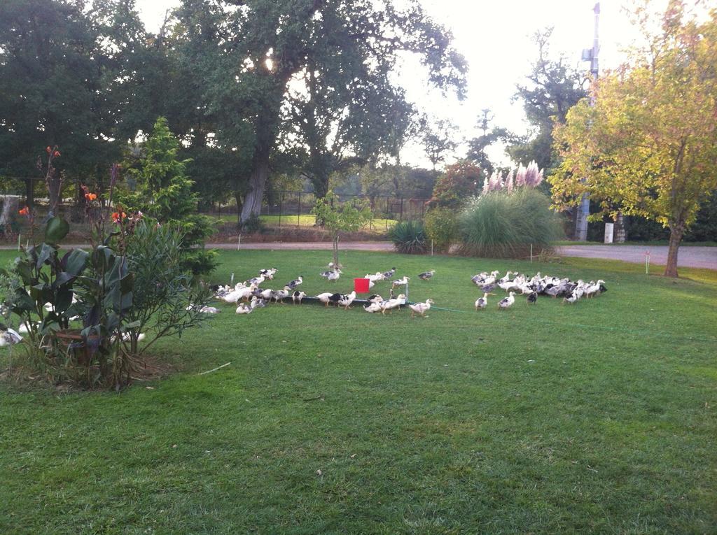 Gites De Madame Escazeaux Bagian luar foto